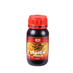 Shogun Dragon Force 250 ml