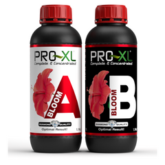PRO-XL Bloom A+B 1L