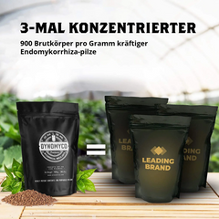 113014_bild_detail_02.png
