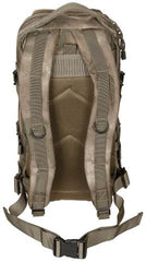 US Rucksack, Assault I, HDT-camo FG