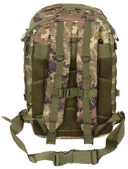 US Rucksack, Assault II, vegetato