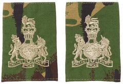 Brit. Schulterklappen, DPM, 10 Paar, WARRANT OFFICER RAF