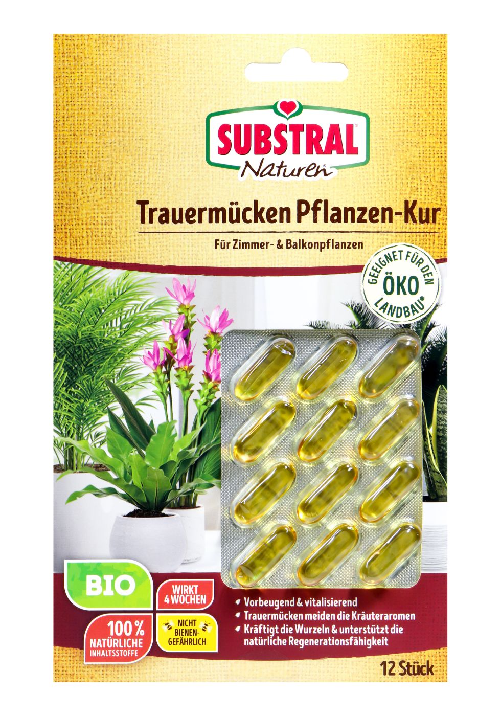 Substral Nat Trauermücken Pflanzen-Kur, 12 er
