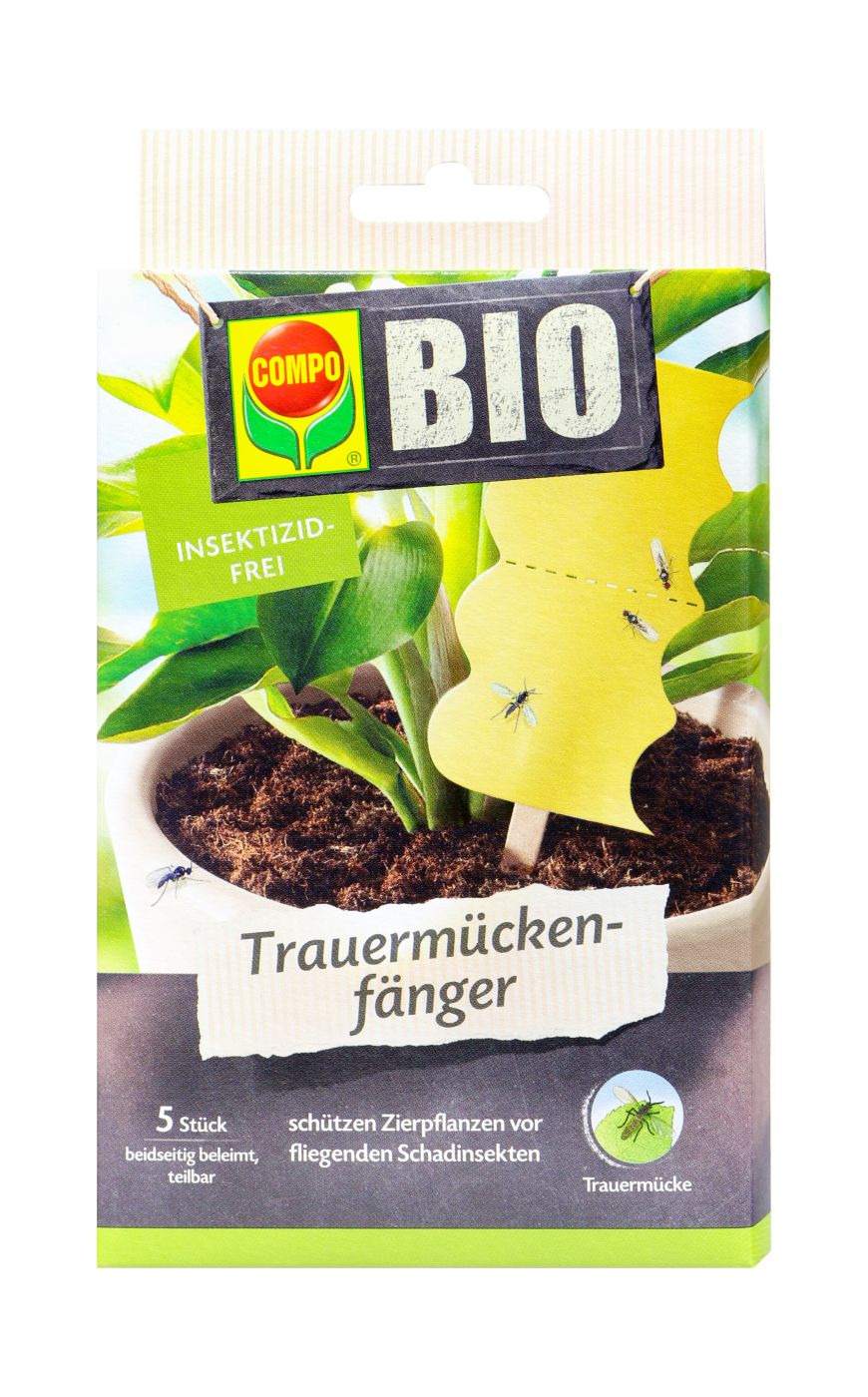 Compo Bio Trauermückenfänger, 5 Stück