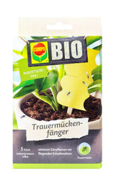 Compo Bio Trauermückenfänger, 5 Stück