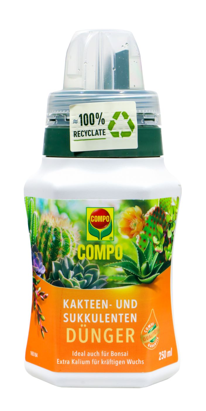 Compo Kakteen-Dünger, 250 ml