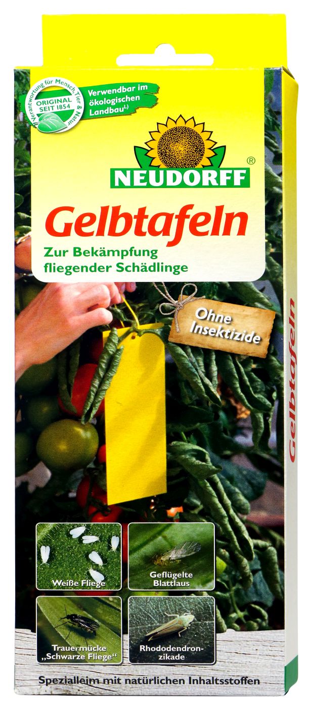 Neudorff Gelbtafeln, 7 er
