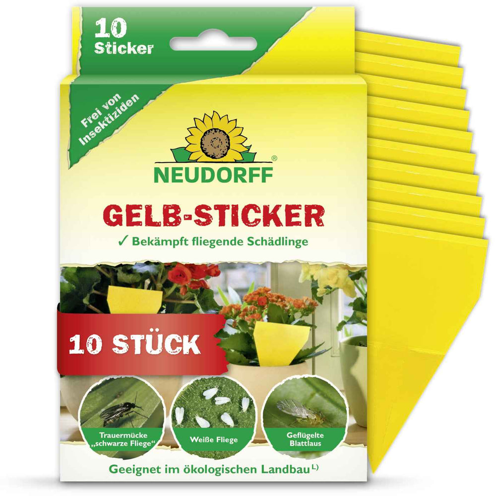 Gelb-Sticker Insektenfalle, 10 er