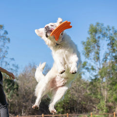 ULTRA FLYING SQUIRREL