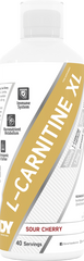 DY Nutrition L-Carnitine XL - 1000 ml