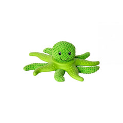 KIWI-KRAKEN & GRÜNER SEESTERN