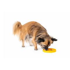 KIWI NAPF ANTI-VIELFRASS PAW MINI GRÜN