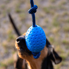 KIWI EGG GRUEN MAXI