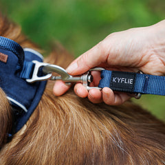 TRAININGSLEINEN KYFLIE MOMENTUM M GRAU
