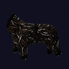 PAIKKA COMBINAISON HIVER 65