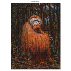 Ambassador Orang-Utan 1000 Teile (Donal Boyd)