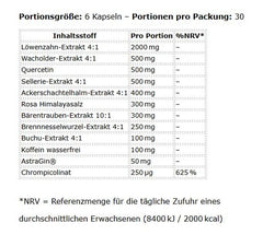 Applied Shred-H2O Water Out Complex 180 Kapseln