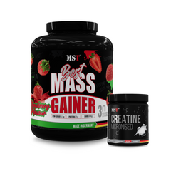 Best Mass Gainer 3 kg Strawberry