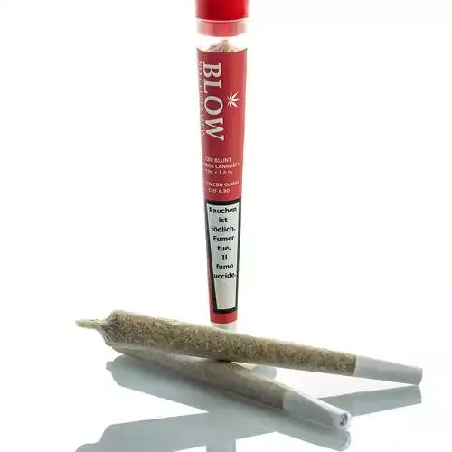Blow - Joint Next Generation - CHEESE - Box - 20 Stück