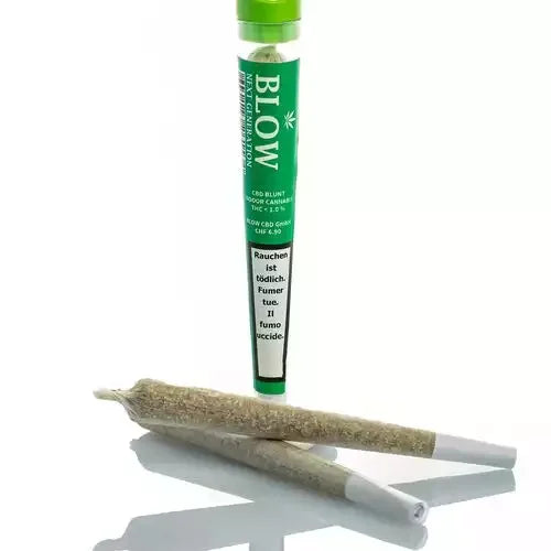 Blow - Joint Next Generation - HARLEQUIN - Box - 20 Stück