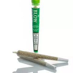 Blow - Joint Next Generation - HARLEQUIN - Box - 20 Stück