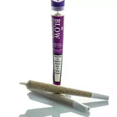 Blow - Joint Next Generation - LIMONCELLO - Box - 20 Stück