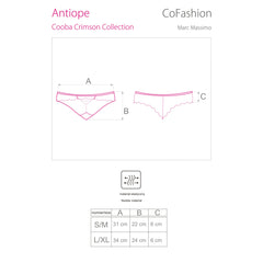 CF Antiope panty rot