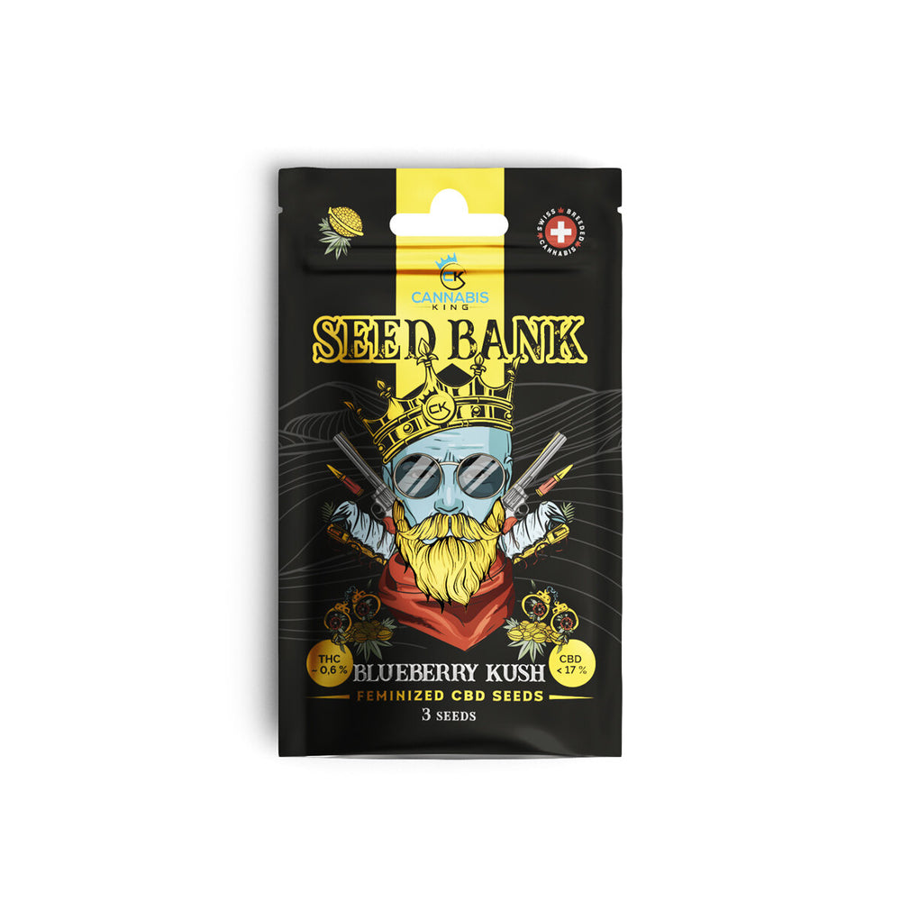 CK Seed Bank - Blueberry Kush - feminisierte CBD Samen - 3 Stück