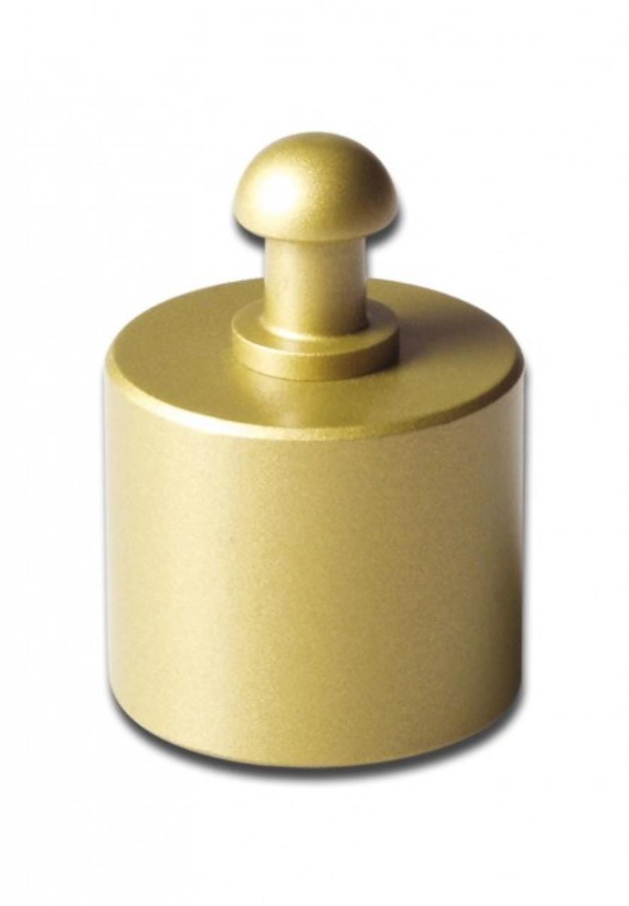 Eichgewicht 100g