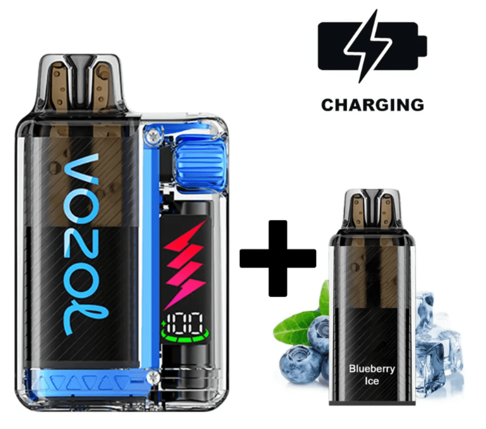 VOZOL VISTA PLUG Starter Kit 20mg/ml - Blueberry Ice