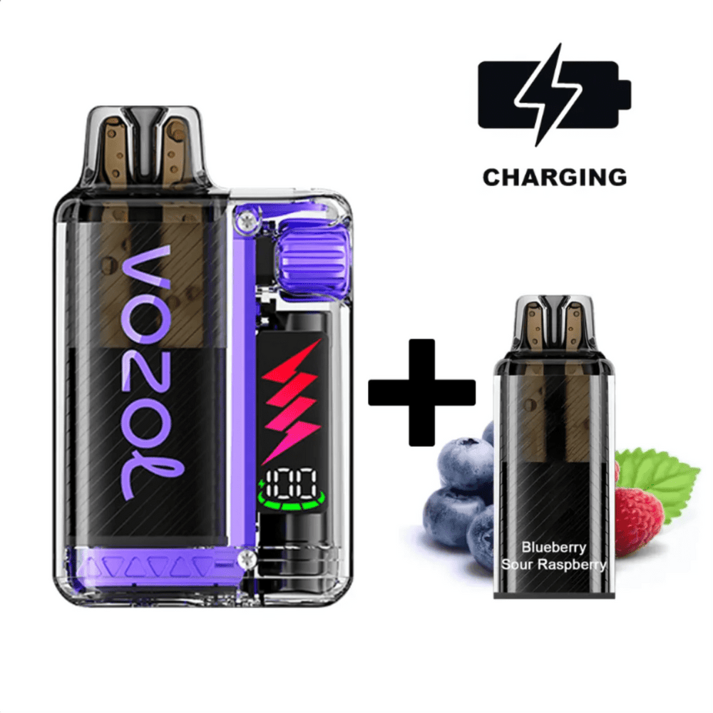 VOZOL VISTA PLUG Starter Kit 20mg/ml -Blueberry Sour Raspberry