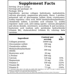 Flexit Drink - 400g - Lemon + Carnitine 100000 - 1000ml - Orange