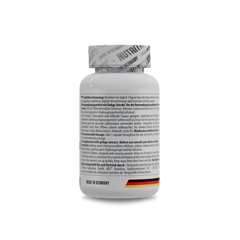 Ginkgo Biloba 60 Kapseln