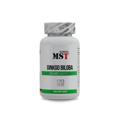 Ginkgo Biloba 60 Kapseln