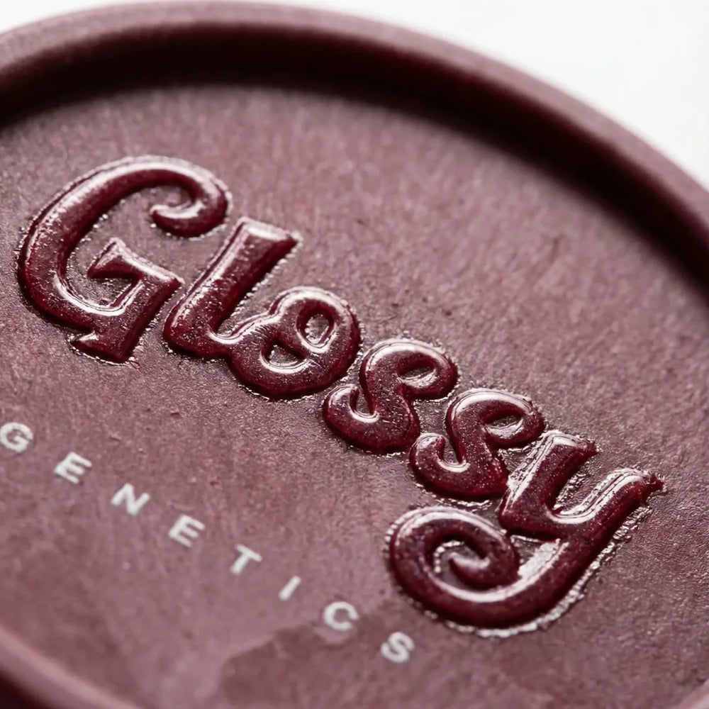 Glossy - Hanf Grinder - Velvet