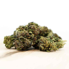 Herba di Berna - Oudoor CBD Blüten - Mango Haze - 45g