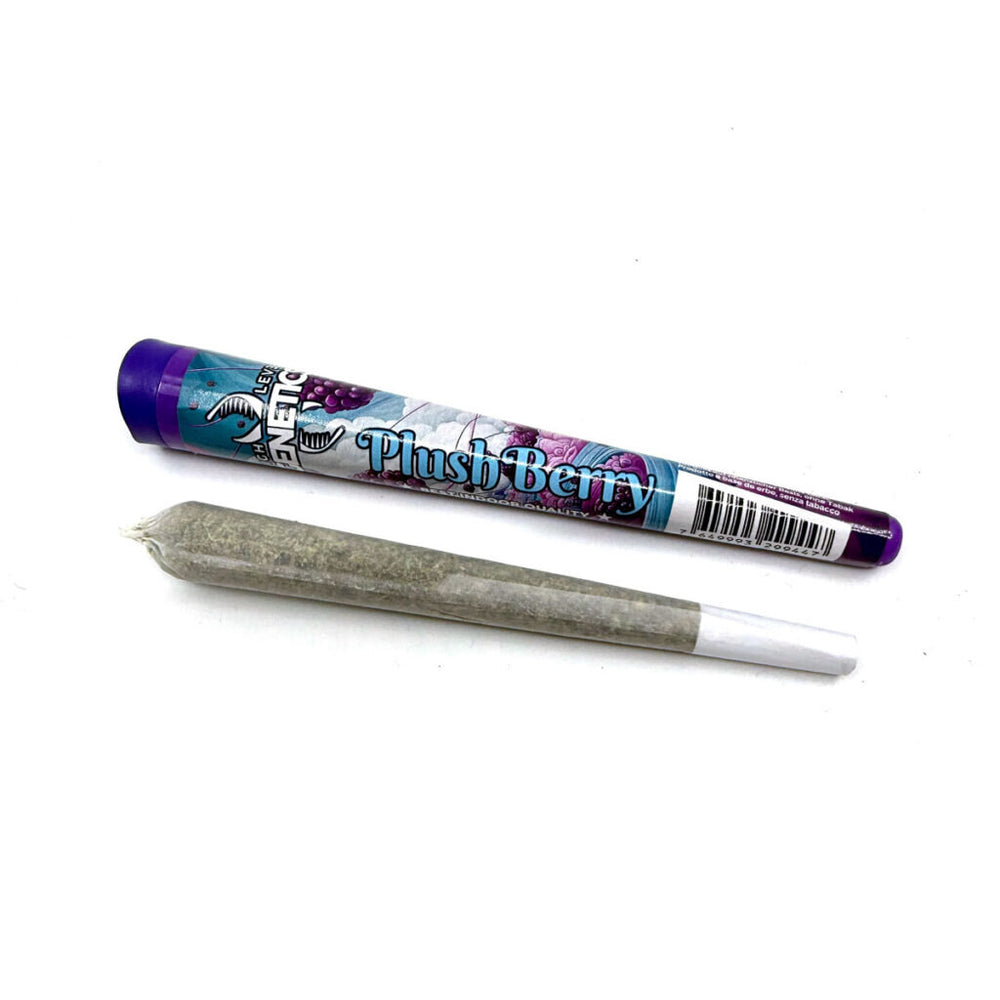 High Level Genetics - Plush Berry - CBD Pre-Roll - 1.2g
