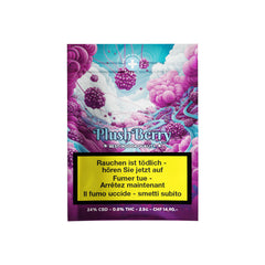 High Level Genetics - Plush Berry - Indoor CBD Blüten - 2.5g