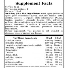 ICE Pump Juice - 120ml - Forest Fruit x12