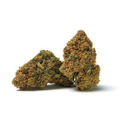 Qualicann CBD - Banana Diesel 2.0g