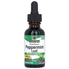 Nature S Answer Peppermint Leaf