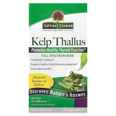 Nature S Answer Kelp Thallus