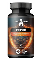 Apollo S Hegemony Reishi