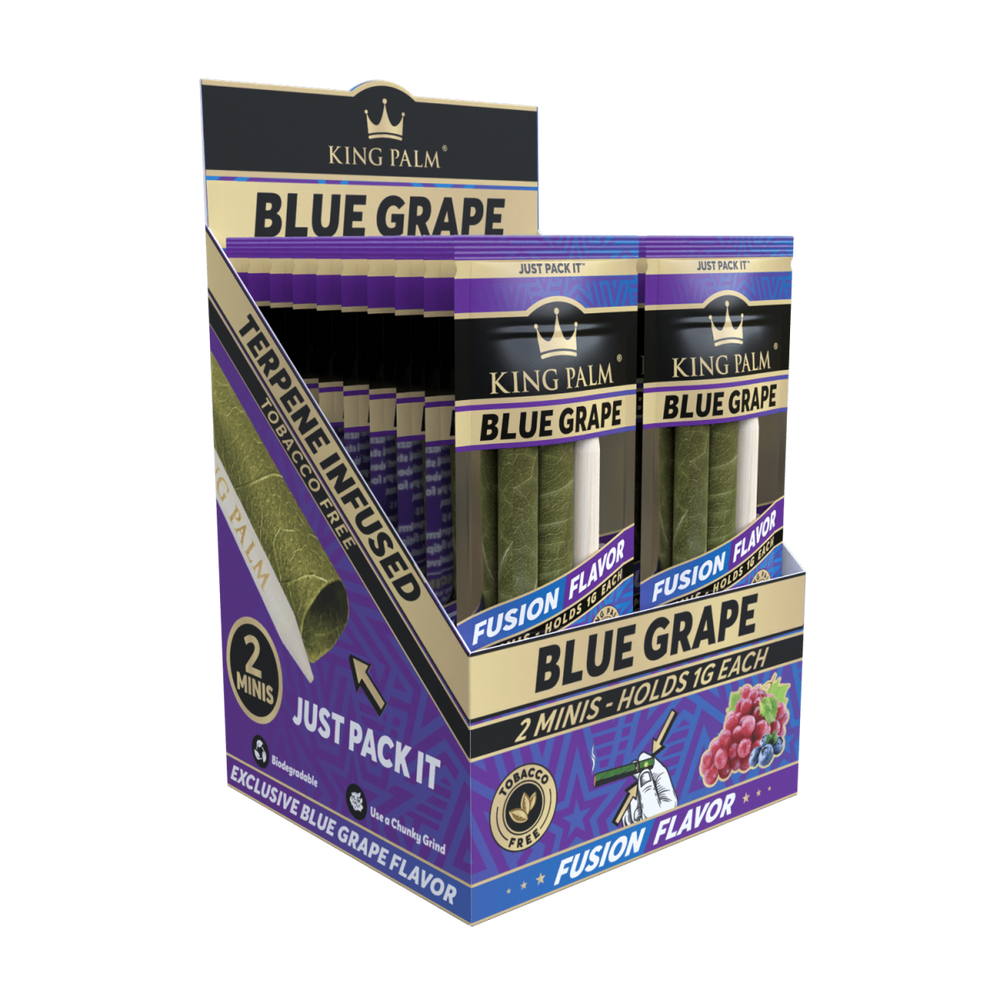 King Palm - Mini - 2 Stück - Blue Grape - Display - 20 Stück