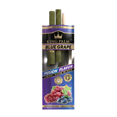 King Palm - Mini - 2 Stück - Blue Grape - Display - 20 Stück