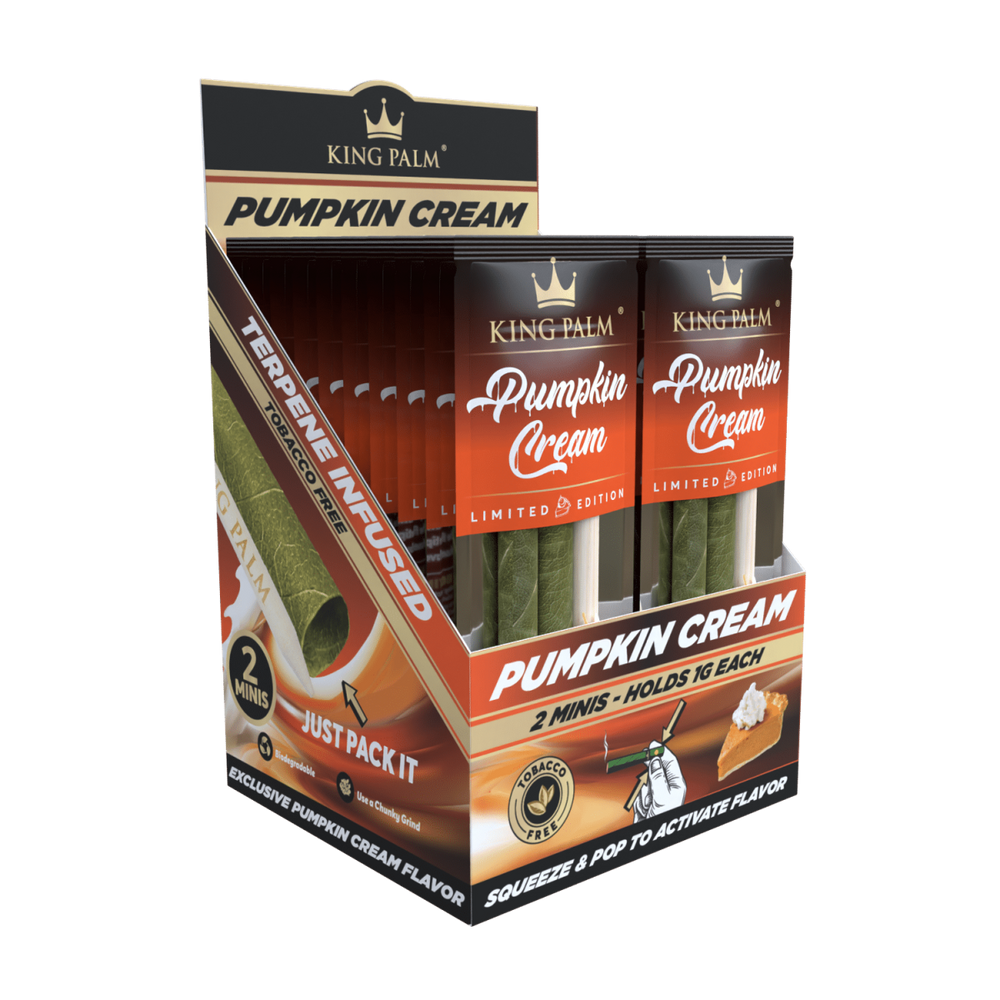 King Palm - Mini - 2 Stück - Pumpkin Cream - Display - 20 Stück