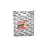 Mass Active - 5000g - Wild Strawberry