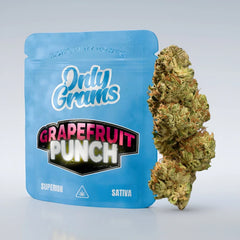 Only Grams Superior Blüte - Grapefruit Punch