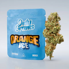 Only Grams Superior Blüte - Orange Ice