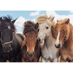 Puzzle Pferdeliebe, 2 x 24 Teile